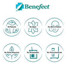 Load image into Gallery viewer, Benefect Multi Purpose Cleaner