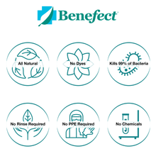 Load image into Gallery viewer, Benefect Decon 30: Botanical Disinfectant
